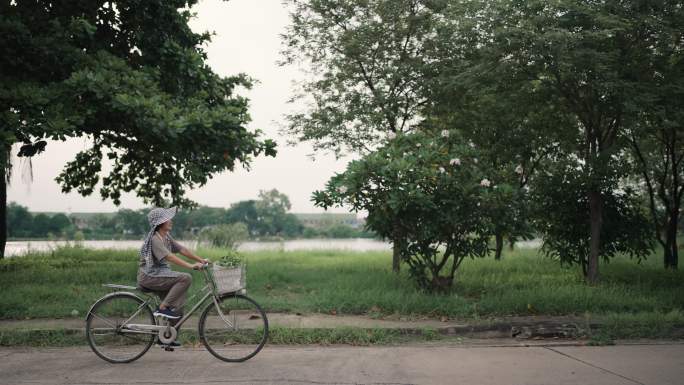 女人骑自行车新农村生活美丽乡村现代农业
