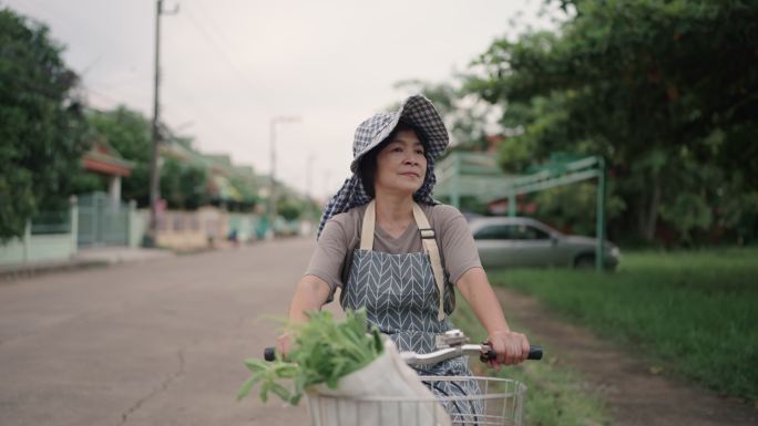 女人骑自行车运动健身锻炼有氧农户妇人买菜