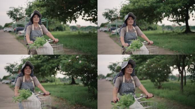 女人骑自行车现代农业绿色生态农民三农