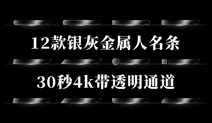 12款银色金属人名条