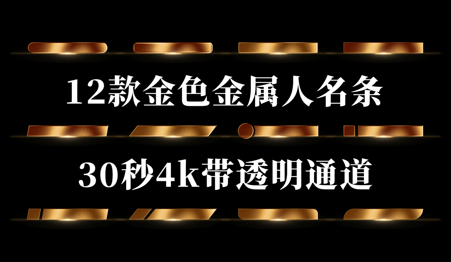 12款金色金属人名条