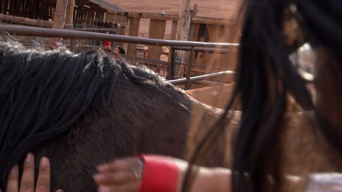 青少年纳瓦霍女孩在亚利桑那州的纪念碑谷纳瓦霍部落公园骑马后，用咖喱梳子给马梳毛