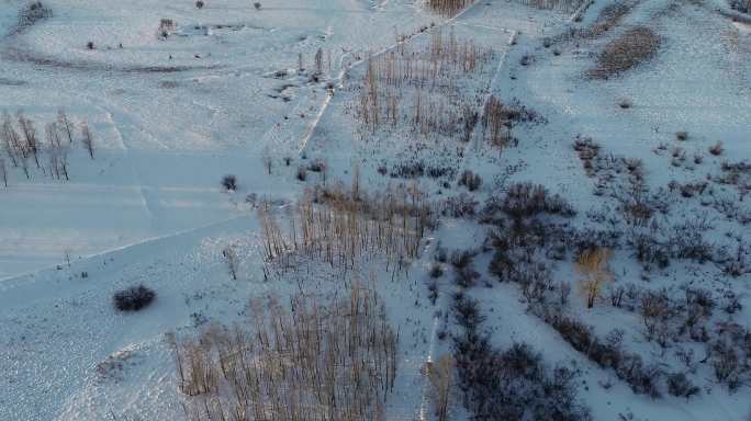 航拍冬季湿地风光