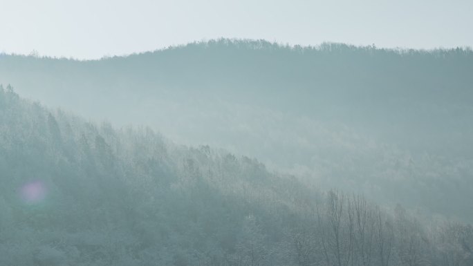 【4K】冬日雪景森林日出延时