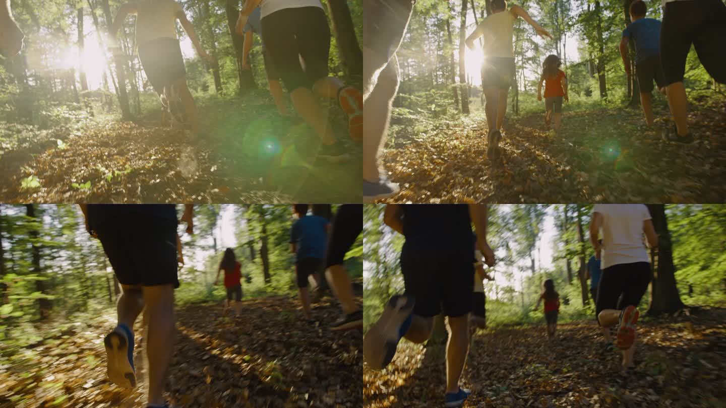 SLO MO家族在森林中奔跑