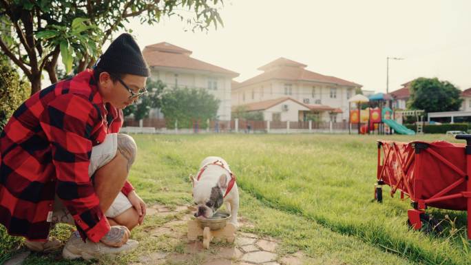 宠物主人在村里的操场上训练他的狗。