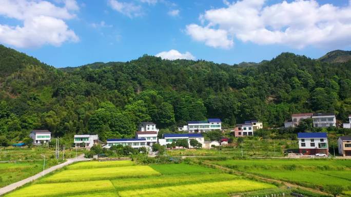 航拍浏阳市沙市镇秧田村合集