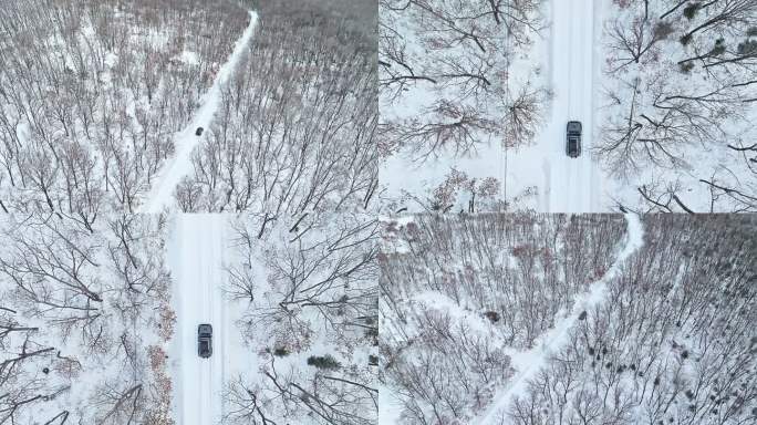 坦克300雪地行驶