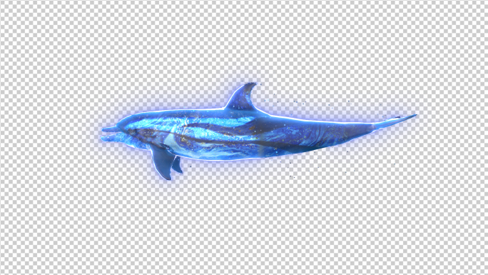 蓝色海豚粒子