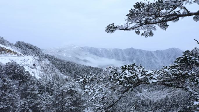 神农架雪景航拍4K