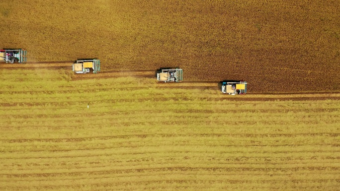 鸟瞰稻田上的联合收割机作业。