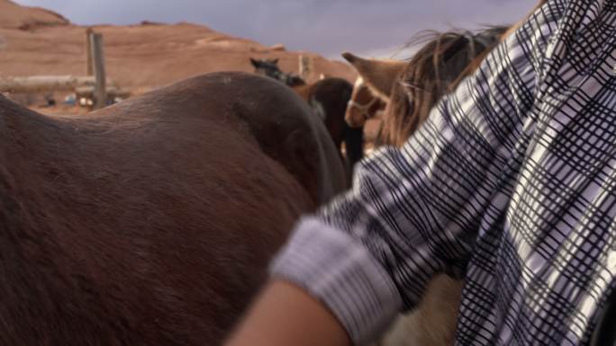 青少年纳瓦霍女孩在亚利桑那州纪念碑谷部落公园骑马后用咖喱梳子梳理马