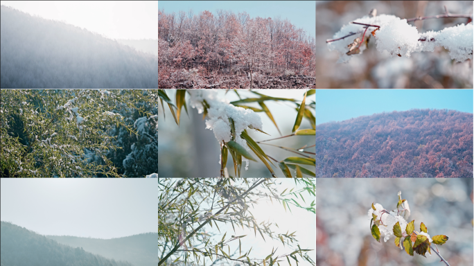 【4K】森林雪景竹林雪景冰雪融化