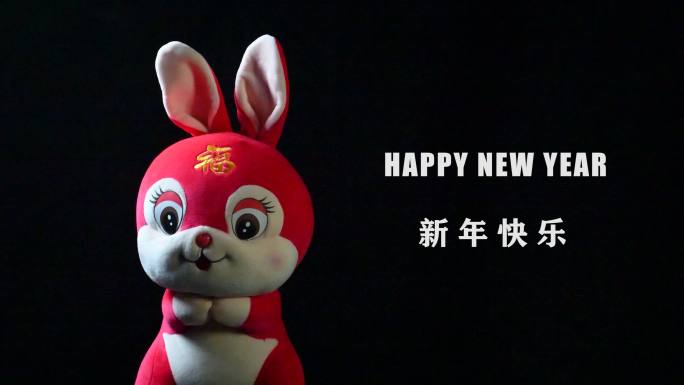 新年快乐兔年吉祥