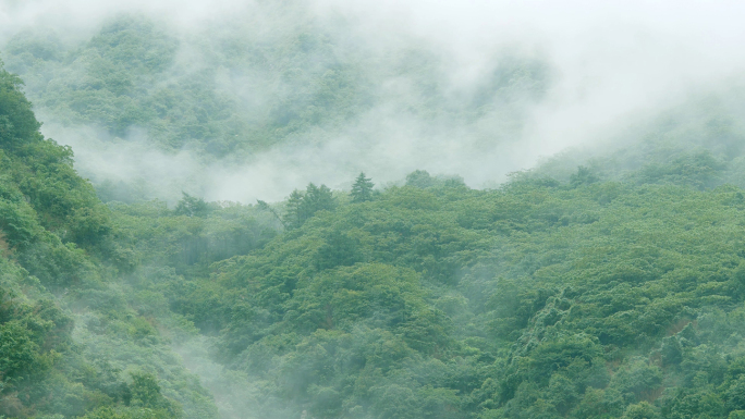 山区云雾下雨雾气山谷小雨白雾唯美雨天素材