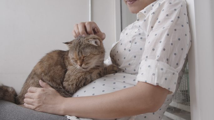 亚洲孕妇坐在腿边抚摸一只可爱的猫