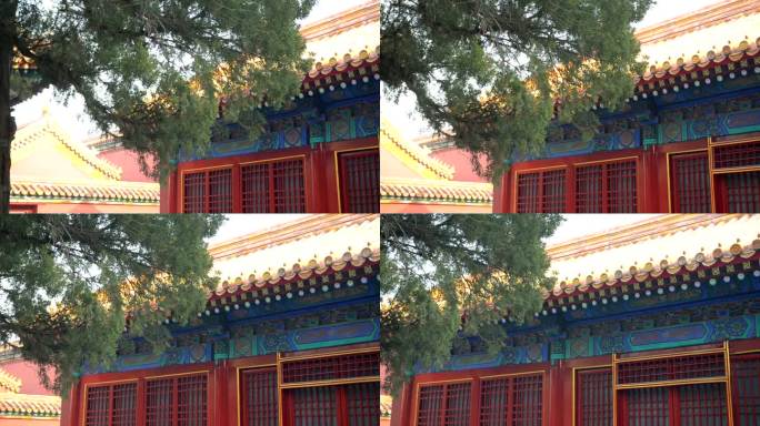 平移：中国皇家屋顶装饰