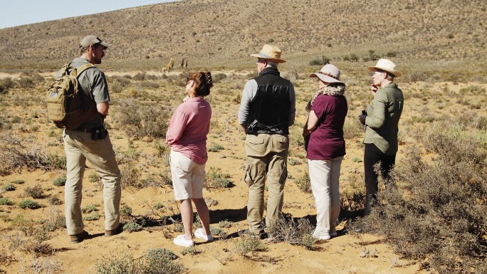 野生动物园旅行团在野生动物保护区观看远处的长颈鹿