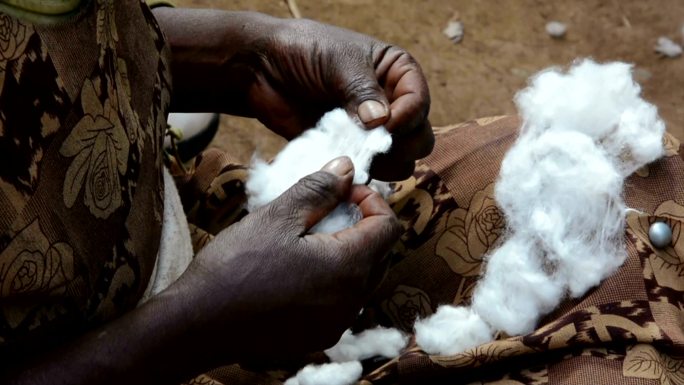 手中的棉纤维棉花非洲黑人