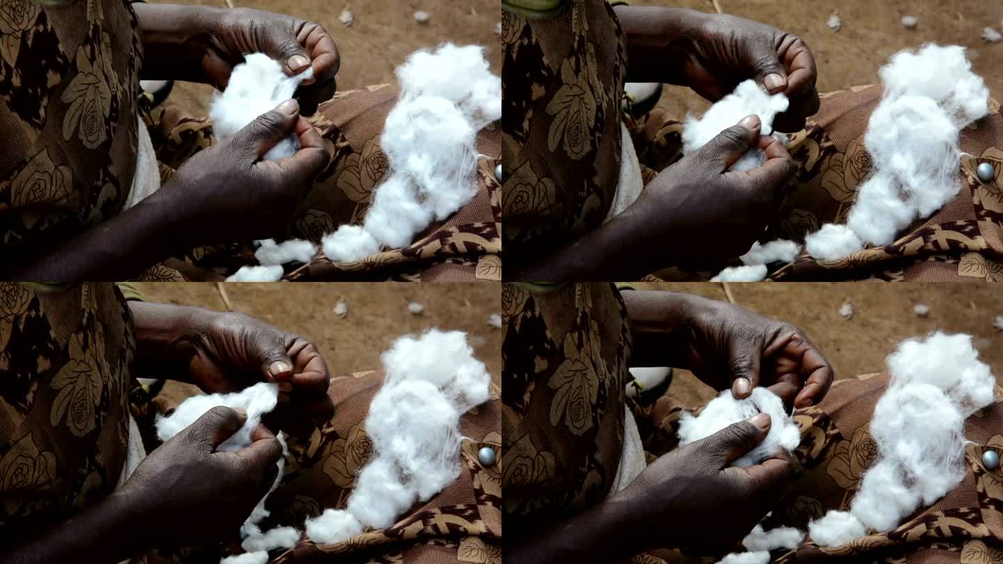 手中的棉纤维棉花非洲黑人