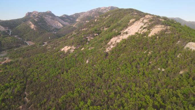 航拍飞越威海里口山的青翠山野