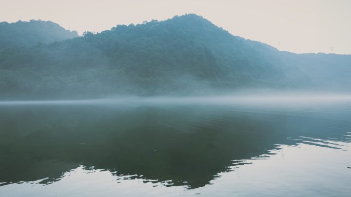 T/L WS戏剧性的雾状景观