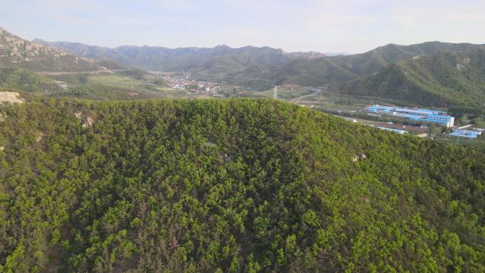 航拍飞越威海里口山的青翠山野