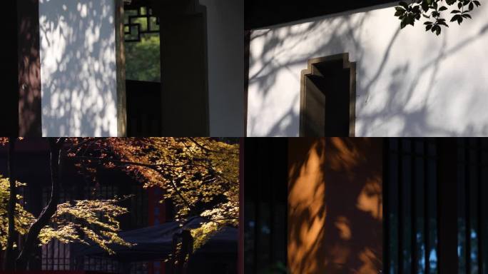 深秋中式园林树影建筑光影空镜