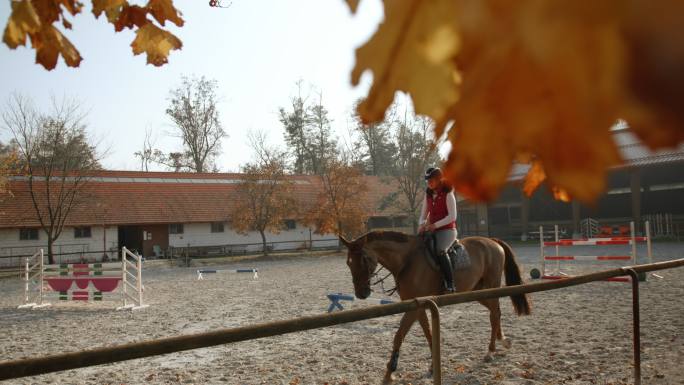 SLO MO女牧场主在围场里骑马