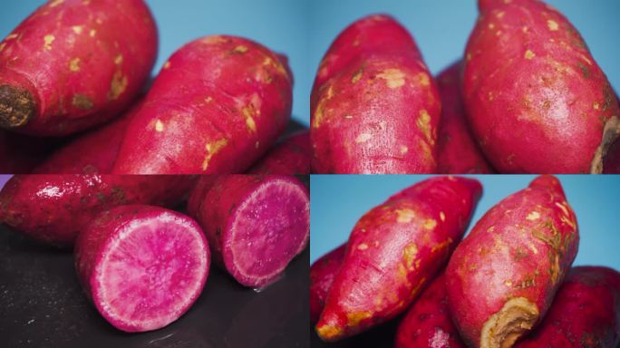 红薯 番薯 地瓜 甘薯