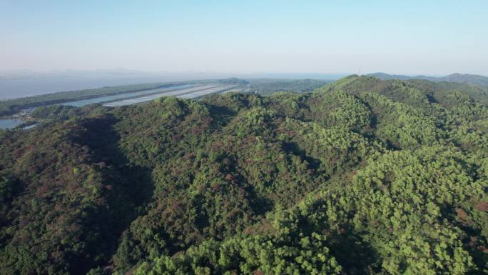 绿水青山就是金山银山植树造林森林树木海岛