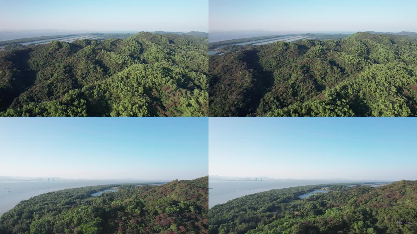 绿水青山就是金山银山植树造林森林树木海岛