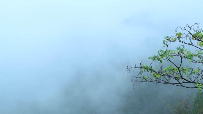 仙气十足的天台山4K视频合集