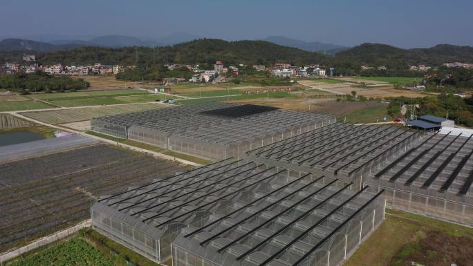 种植基地航拍04