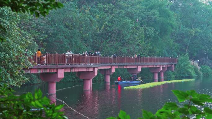 重庆九龙坡区城市彩云湖湿地公园