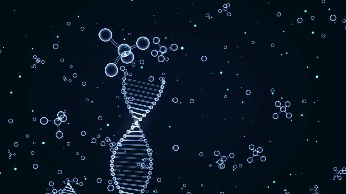 蛋白质复制合成双螺旋结构DNA