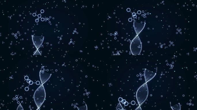 蛋白质复制合成双螺旋结构DNA