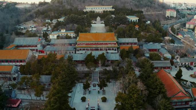 青岛湛山寺鸽子飞过古建筑寺庙现代与古建