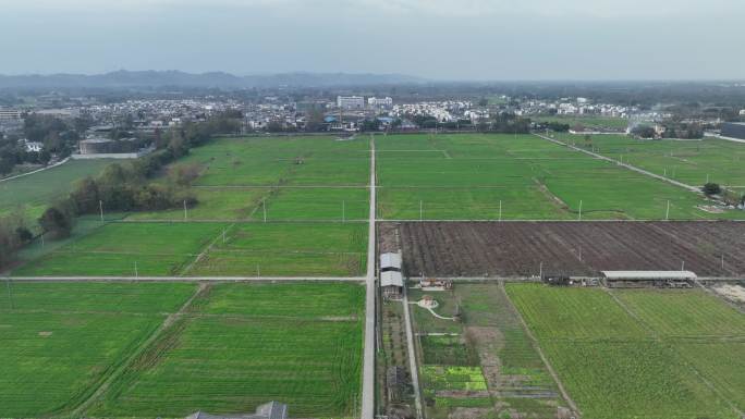 乡村振兴崇州五星村