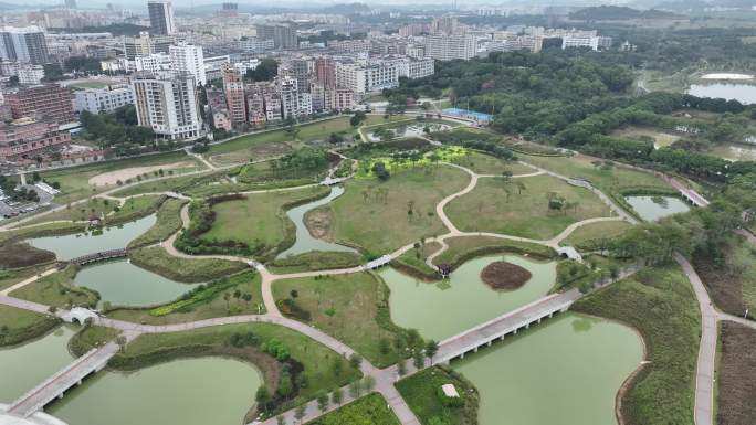 石岩湖湿地公园