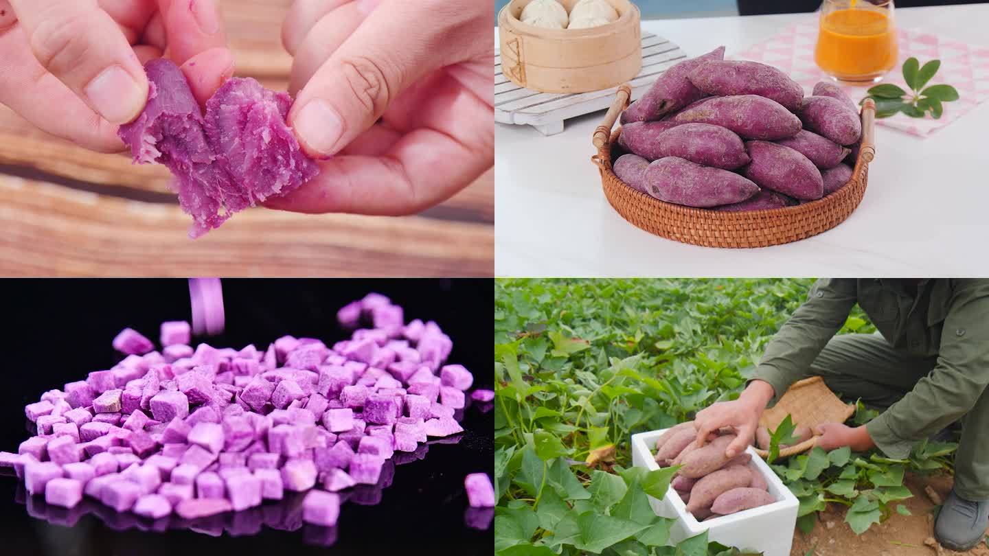 新鲜紫薯合集