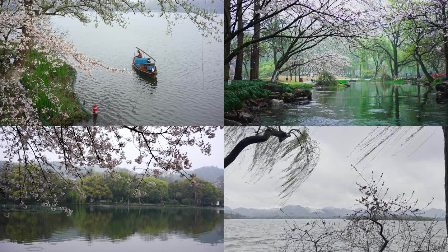 杭州西湖的春天系列