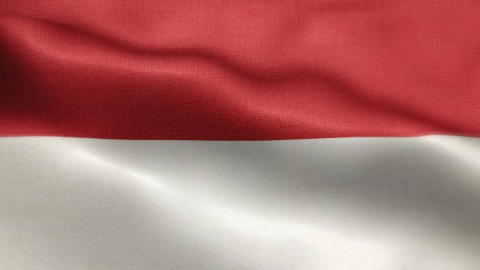 印度尼西亚国旗动画库存视频-印度尼西亚国旗在环形和纹理3d渲染背景中挥舞-高度详细的织物图案和可循环