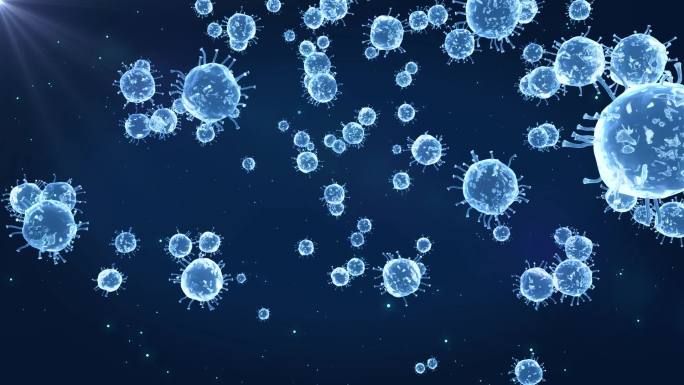virus 病毒侵入