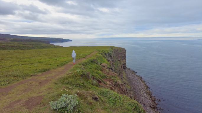 冰岛北部Jökulsárgljúfur海湾上的悬崖上行走的少年男孩