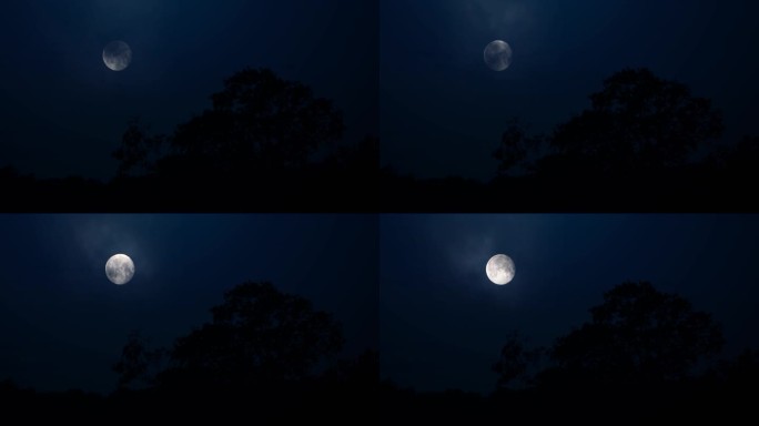 野外树林月亮1