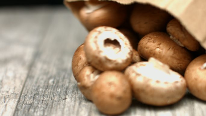 棕色蘑菇口蘑棕色蘑菇