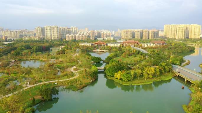 温州三垟湿地