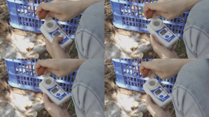 荔枝测糖仪爆汁手捏荔枝多汁过程