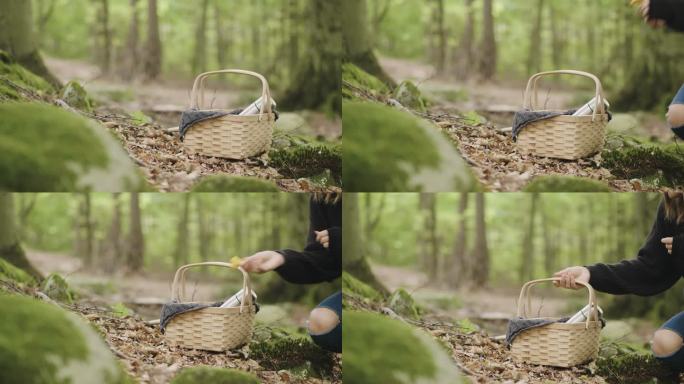 在森林里摘蘑菇喝咖啡的女人